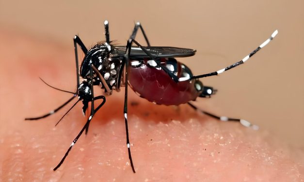 Waspada Lonjakan Kasus Demam Berdarah Di Jawa Barat