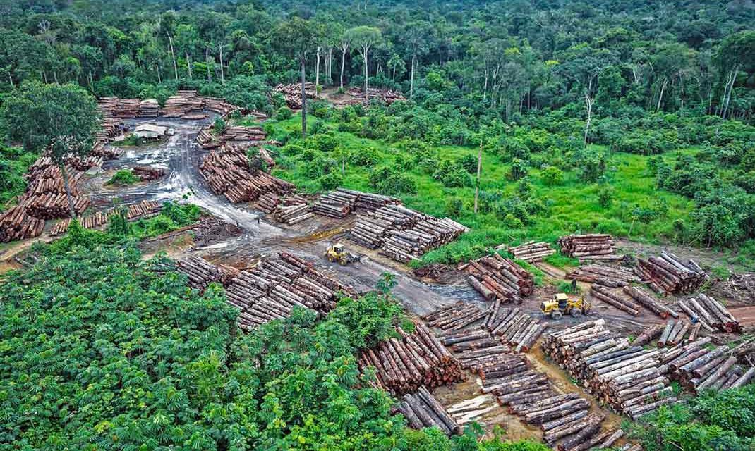 Kolombia Alokasikan Dana Besar Tekan Deforestasi Hutan Amazon