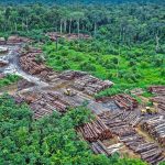 Kolombia Alokasikan Dana Besar Tekan Deforestasi Hutan Amazon