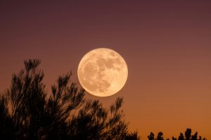 Supermoon Terbesar Tahun Ini: Kapan Jadwal Di Indonesia?
