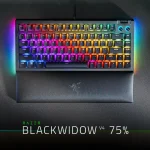 Razer BlackWidow V4 Pro 75% Manjakan Komunitas Gaming