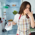 Solusi Kulkas Segar Alami: Trik Mangkuk Vanili Dan Arang Aktif