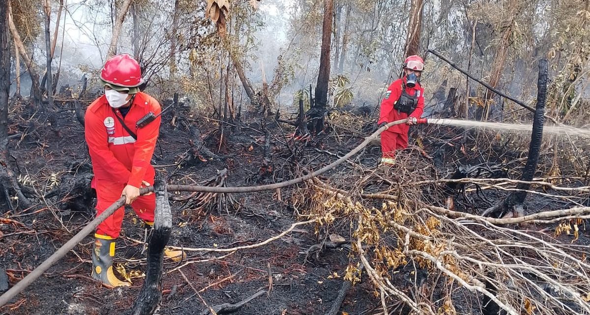 Satgas Karhutla Perketat Patroli Di Zona Rawan Lahan Gambut