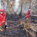 Satgas Karhutla Perketat Patroli Di Zona Rawan Lahan Gambut