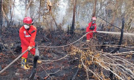 Satgas Karhutla Perketat Patroli Di Zona Rawan Lahan Gambut